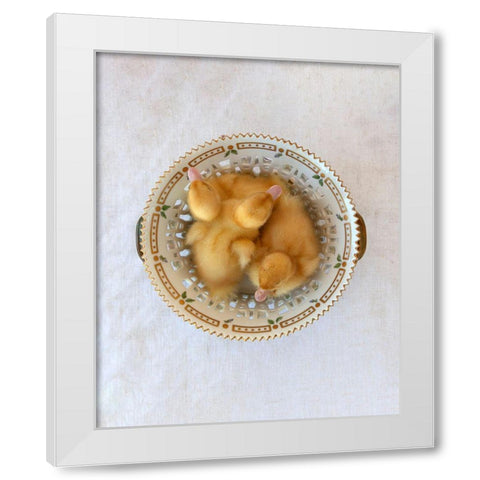 Floradanica with Ducklings White Modern Wood Framed Art Print by Soderman, Tania