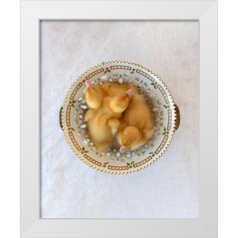 Floradanica with Ducklings White Modern Wood Framed Art Print by Soderman, Tania