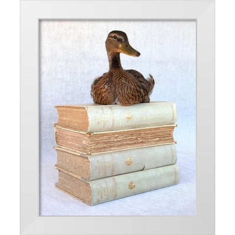 Tania Soderman Books I White Modern Wood Framed Art Print by Soderman, Tania