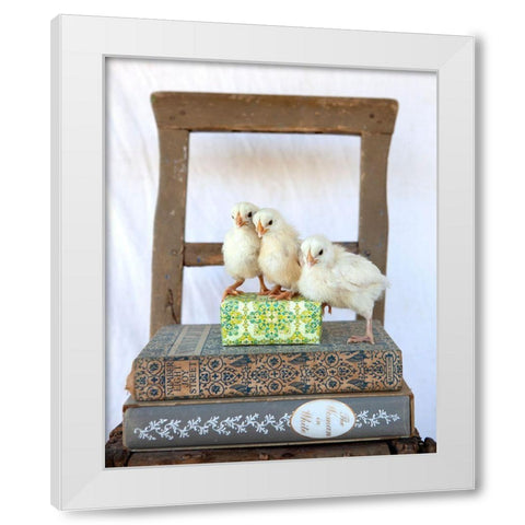 Tania Soderman Books II White Modern Wood Framed Art Print by Soderman, Tania