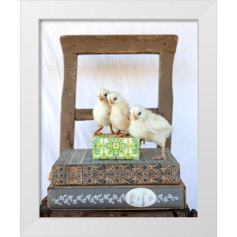 Tania Soderman Books II White Modern Wood Framed Art Print by Soderman, Tania