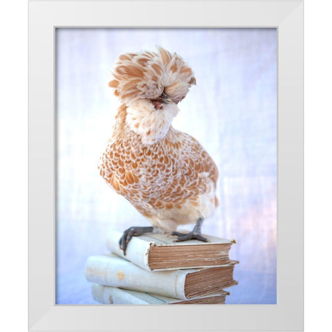 Tania Soderman Books V White Modern Wood Framed Art Print by Soderman, Tania