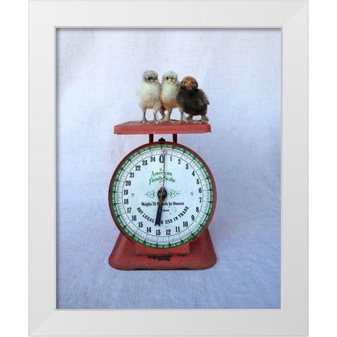 Chicks on Red Scale White Modern Wood Framed Art Print by Soderman, Tania