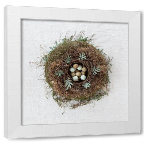 Winter Nest White Modern Wood Framed Art Print by Soderman, Tania