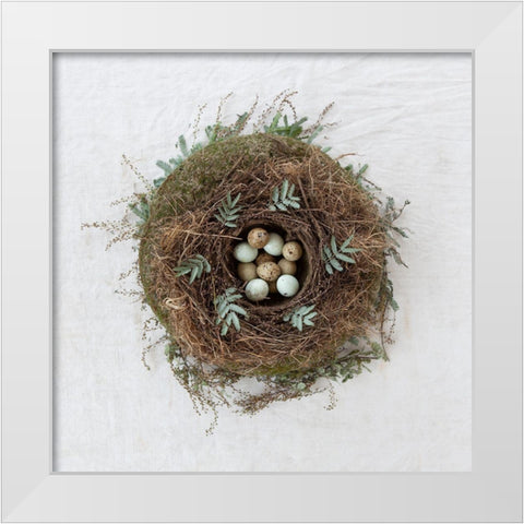 Winter Nest White Modern Wood Framed Art Print by Soderman, Tania
