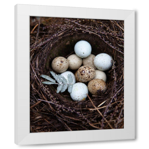 Winter Nest Detail I White Modern Wood Framed Art Print by Soderman, Tania