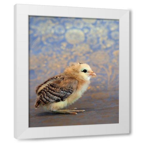 Viola White Modern Wood Framed Art Print by Soderman, Tania