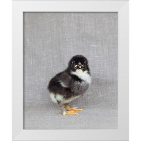 Sage White Modern Wood Framed Art Print by Soderman, Tania