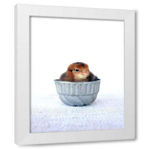 Tiny Baker II White Modern Wood Framed Art Print by Soderman, Tania