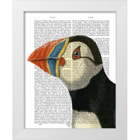 Puffin Portrait White Modern Wood Framed Art Print by Fab Funky