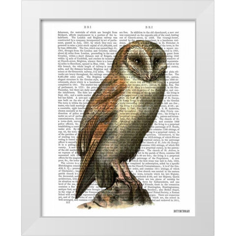 Barn Owl White Modern Wood Framed Art Print by Fab Funky