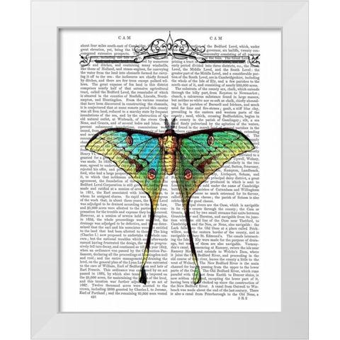 Butterfly 1 White Modern Wood Framed Art Print by Fab Funky