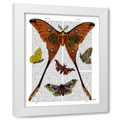 Moth Plate 1 White Modern Wood Framed Art Print by Fab Funky