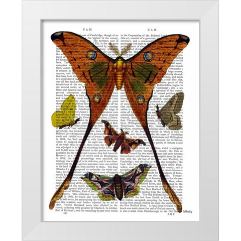 Moth Plate 1 White Modern Wood Framed Art Print by Fab Funky