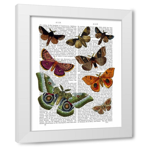 Moth Plate 2 White Modern Wood Framed Art Print by Fab Funky