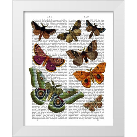 Moth Plate 2 White Modern Wood Framed Art Print by Fab Funky