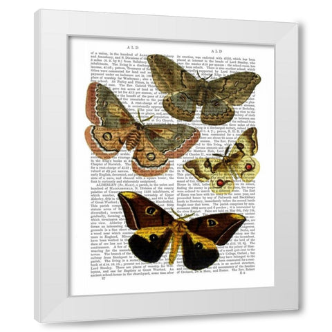Moth Plate 3 White Modern Wood Framed Art Print by Fab Funky