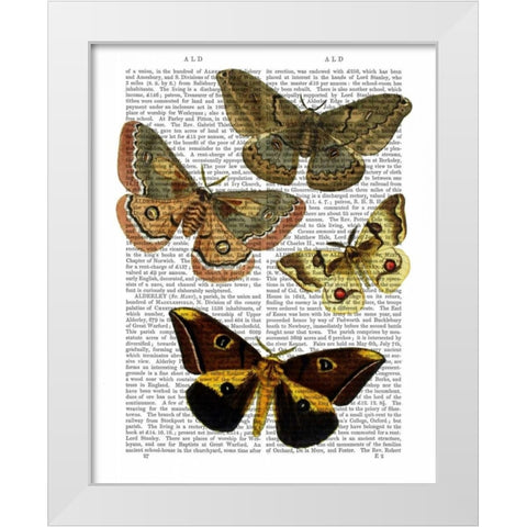 Moth Plate 3 White Modern Wood Framed Art Print by Fab Funky