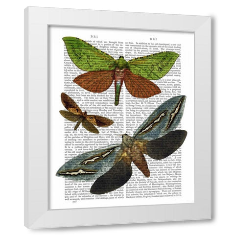 Butterflies 3 White Modern Wood Framed Art Print by Fab Funky