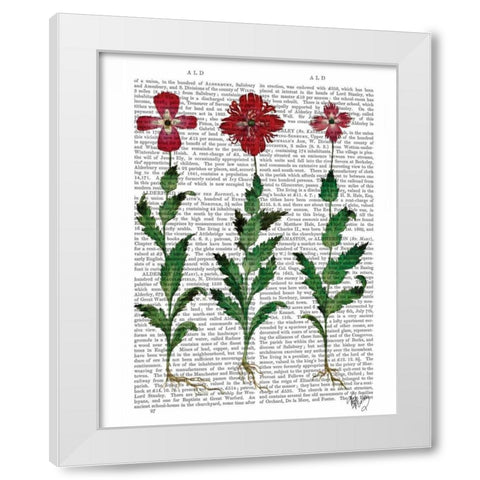 Italian Carnation 1 White Modern Wood Framed Art Print by Fab Funky