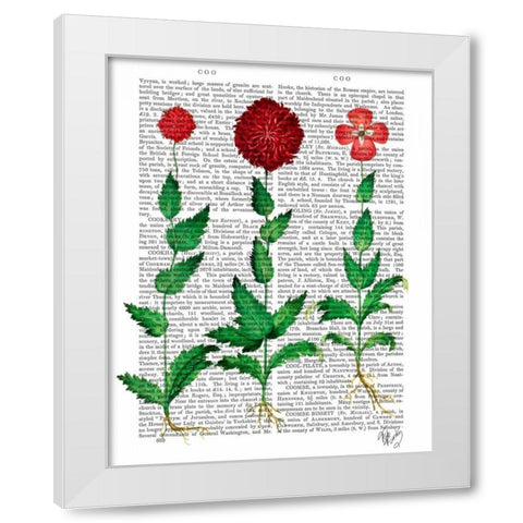 Italian Carnation 2 White Modern Wood Framed Art Print by Fab Funky