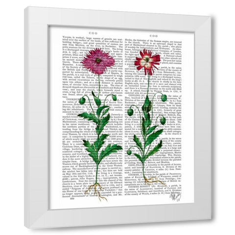 Italian Carnation 3 White Modern Wood Framed Art Print by Fab Funky