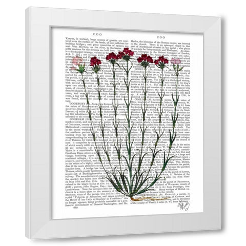 Italian Carnation 4 White Modern Wood Framed Art Print by Fab Funky