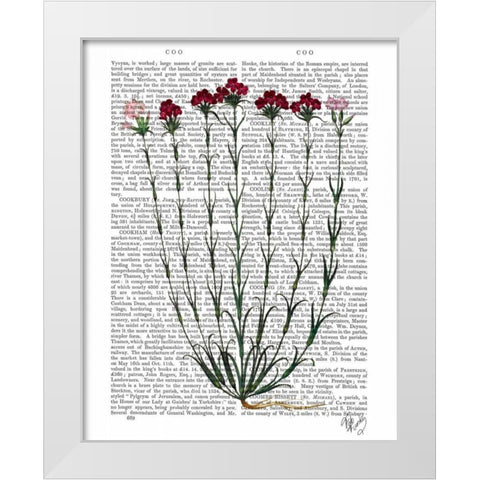 Italian Carnation 4 White Modern Wood Framed Art Print by Fab Funky