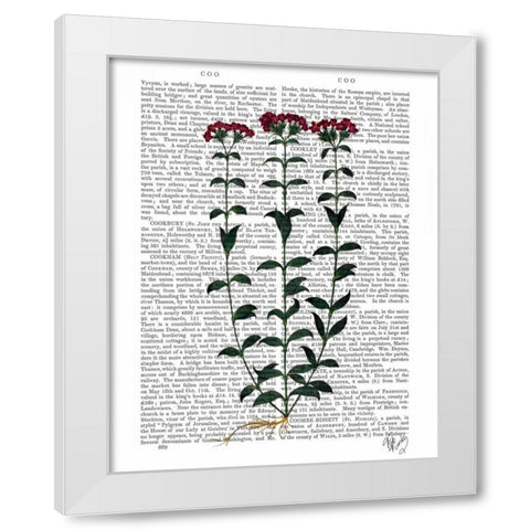Italian Carnation 6 White Modern Wood Framed Art Print by Fab Funky