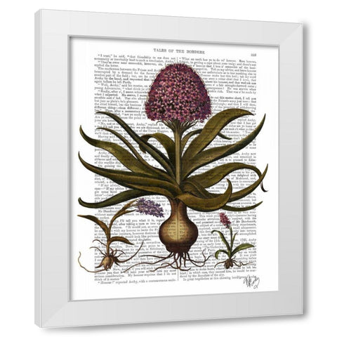 Vintage Hyacinth White Modern Wood Framed Art Print by Fab Funky