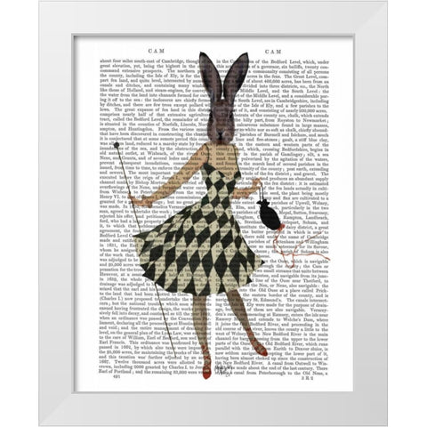 Rabbit in Black White Dress White Modern Wood Framed Art Print by Fab Funky