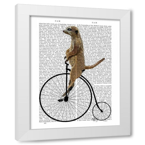 Meerkat on Black Penny Farthing White Modern Wood Framed Art Print by Fab Funky