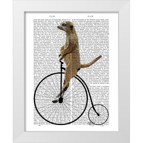 Meerkat on Black Penny Farthing White Modern Wood Framed Art Print by Fab Funky