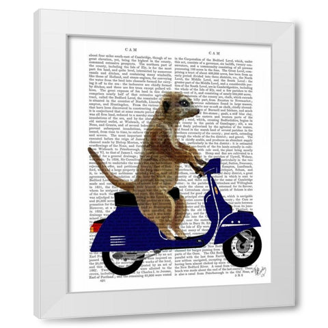 Meerkat on Dark Blue Moped White Modern Wood Framed Art Print by Fab Funky