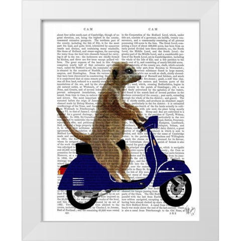 Meerkat on Dark Blue Moped White Modern Wood Framed Art Print by Fab Funky