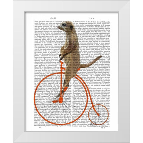 Meerkat on Orange Penny Farthing White Modern Wood Framed Art Print by Fab Funky