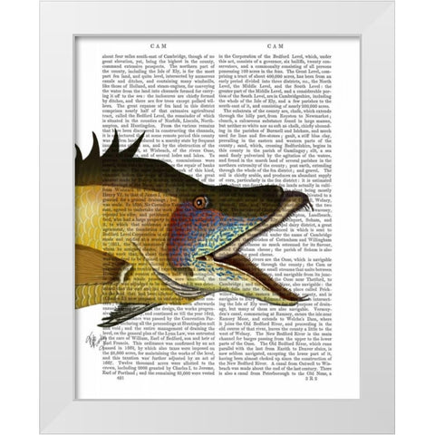Great Hog Fish White Modern Wood Framed Art Print by Fab Funky