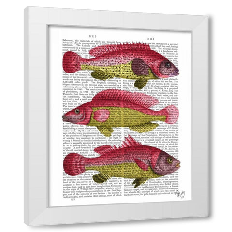 Red and Yellow Fantasy Fish Trio White Modern Wood Framed Art Print by Fab Funky