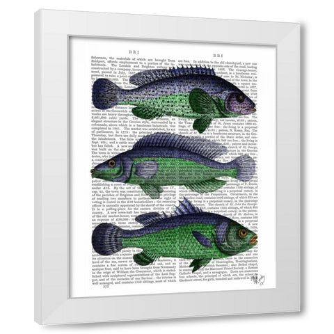 Blue and Green Fish Trio White Modern Wood Framed Art Print by Fab Funky