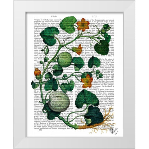 Squash Vine 2 White Modern Wood Framed Art Print by Fab Funky