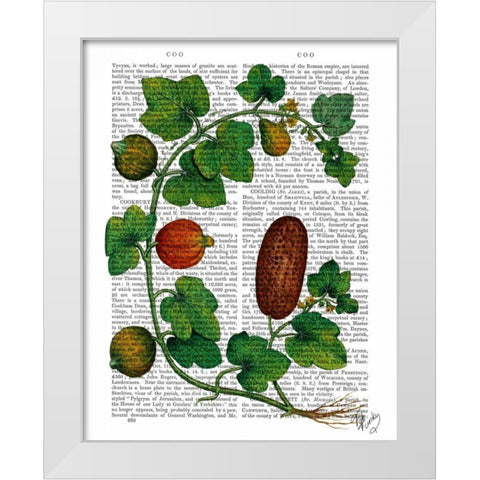Squash Vine 3 White Modern Wood Framed Art Print by Fab Funky