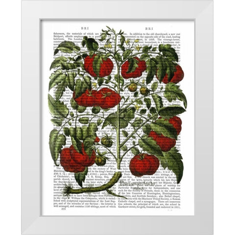 Tomato Plant White Modern Wood Framed Art Print by Fab Funky