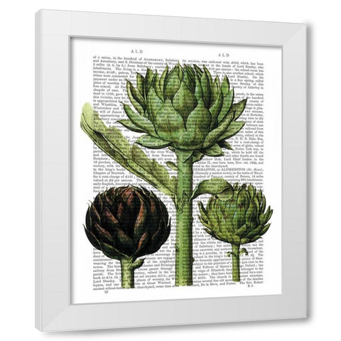 Globe Artichoke Print 1 White Modern Wood Framed Art Print by Fab Funky