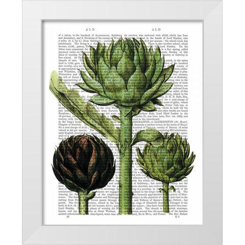 Globe Artichoke Print 1 White Modern Wood Framed Art Print by Fab Funky
