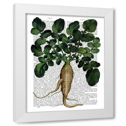 Parsnip 1 White Modern Wood Framed Art Print by Fab Funky