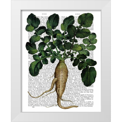 Parsnip 1 White Modern Wood Framed Art Print by Fab Funky