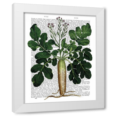 Parsnip 2 White Modern Wood Framed Art Print by Fab Funky