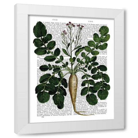 Parsnip 3 White Modern Wood Framed Art Print by Fab Funky