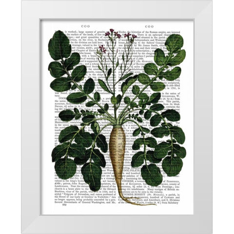 Parsnip 3 White Modern Wood Framed Art Print by Fab Funky