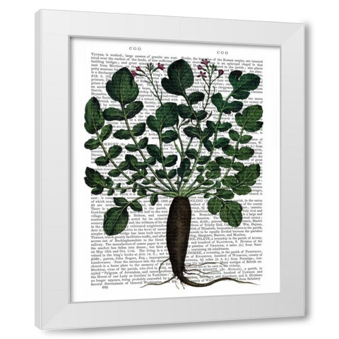 Parsnip 4 White Modern Wood Framed Art Print by Fab Funky